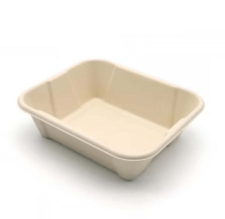 New Compostable Meal Serving Box with Lid.