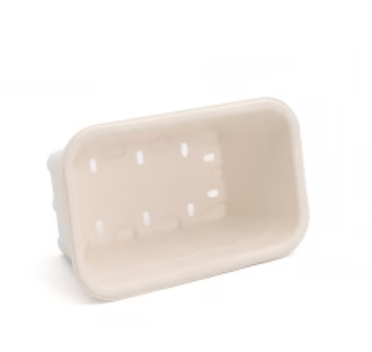 New 56oz Fruit Vegetable Box