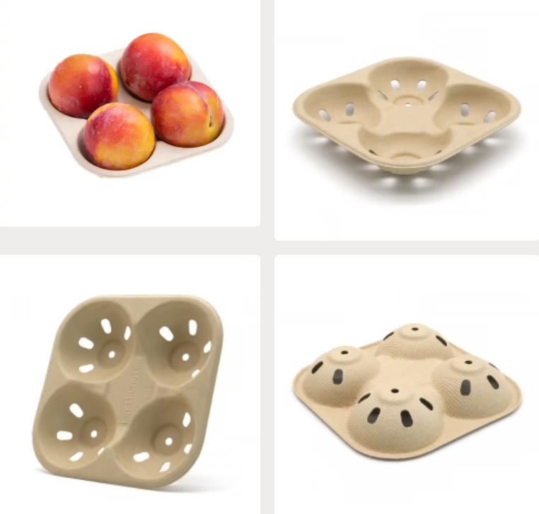 New Bagasse Compostable 4-Division Fruit Vegetable Tray