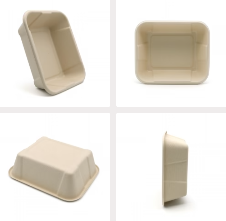 New Compostable Meal Serving Box with Lid.