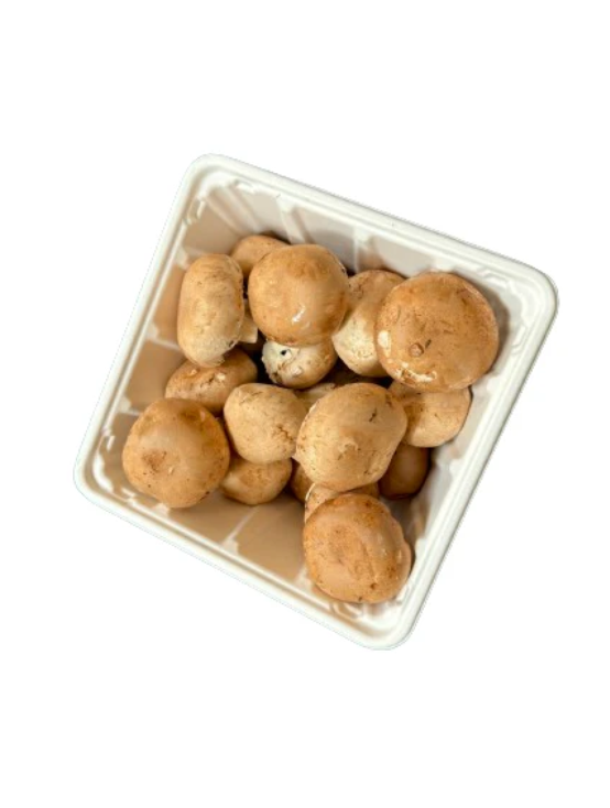 Hot! GreenPack Rectangle Mushroom Tray 38oz